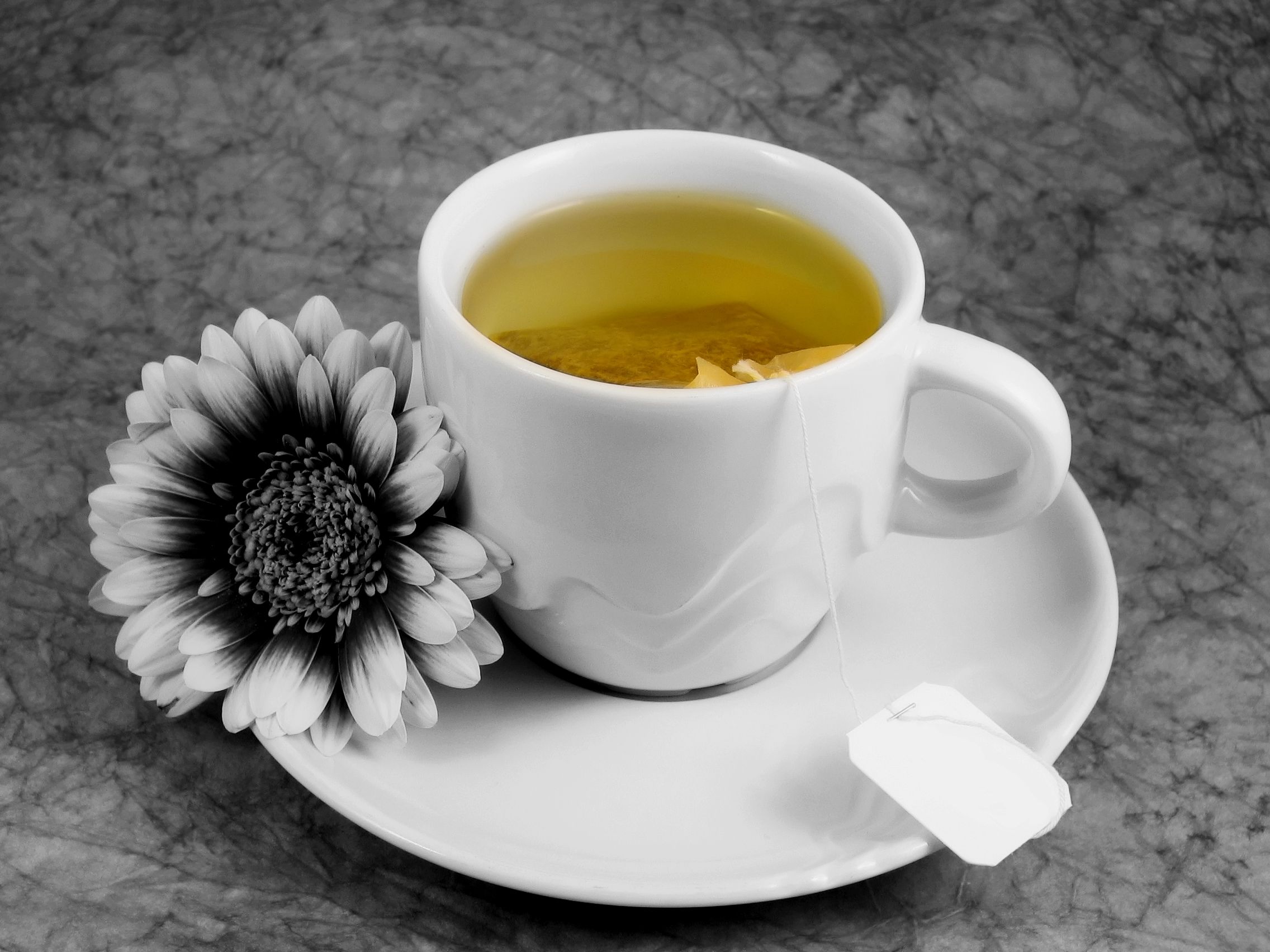 dreamstimefree_699252-cup-of-tea-with-flower.jpg